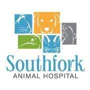 Southfork Animal Hospital