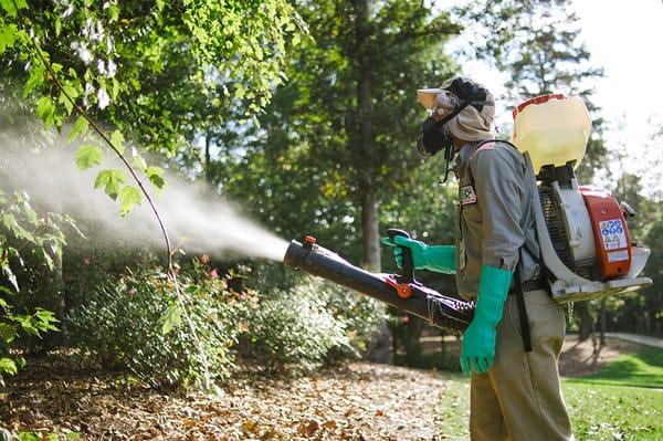 Mosquito Control