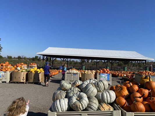 Homestead Farm