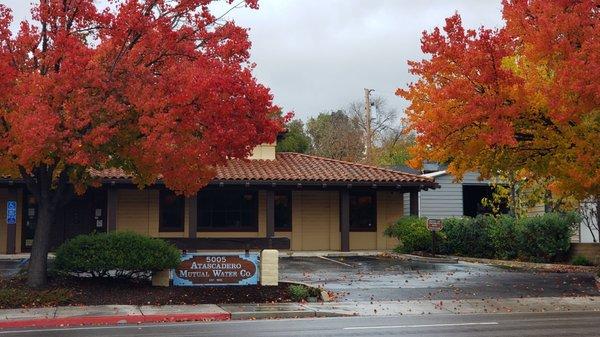 Beautiful colorful trees at the water company