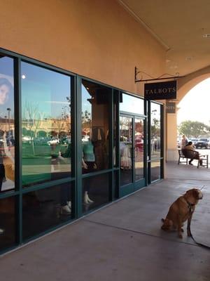 Jasper waiting for his Mommy to finish shopping at Talbots