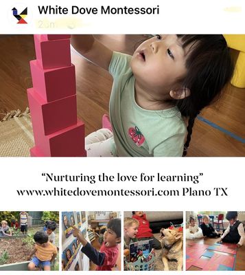 White Dove Montessori School