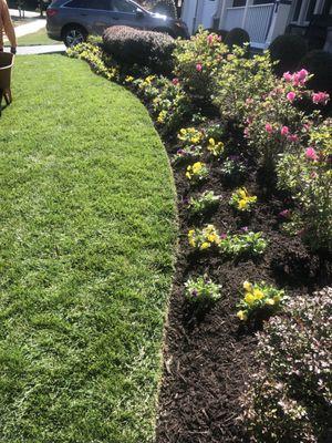 The picture is of our annuals, but you can see how beautiful we maintain the lawn, and mulch beds