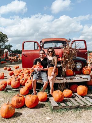 Pumpkin patch