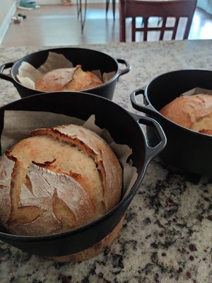 Artisan Sourdough Round