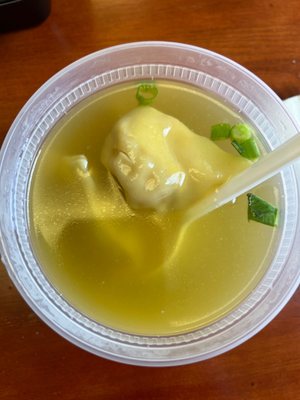 Wonton Soup (C-)