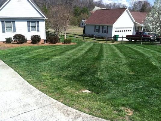 Albemarle Lawn Care