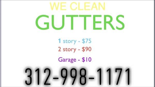 Gutter Cleaner