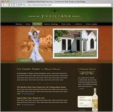 Evolution Design web design example