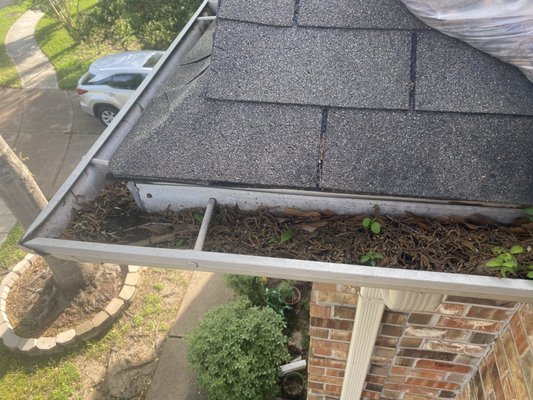 Dirty Gutters before cleaning