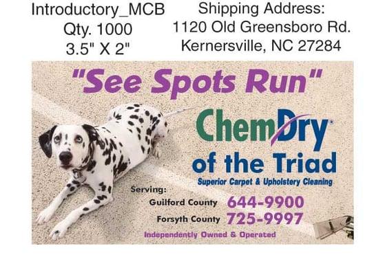 Chem-Dry of the Triad