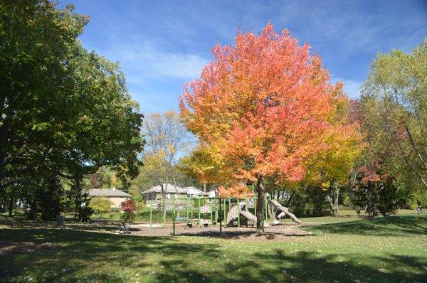 Enjoy fall foliage while walking the 1.5 mile loop trail in Central Park.