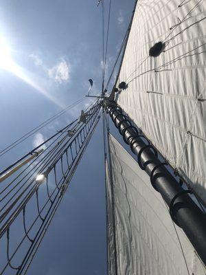 Sailing on the Schooner Pioneer