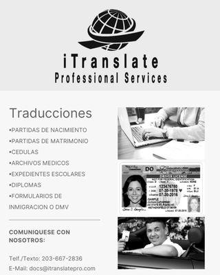 iTranslate Professional Services