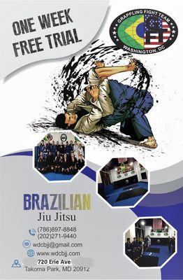 Washington DC Brazilian Jiu Jitsu