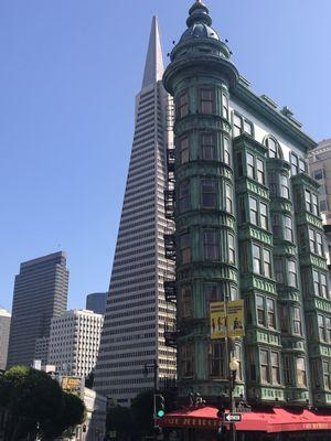 One of the sites as you walk.  Lots of amazing architecture.  Not only the Transamerica building but this other building is made of copper!