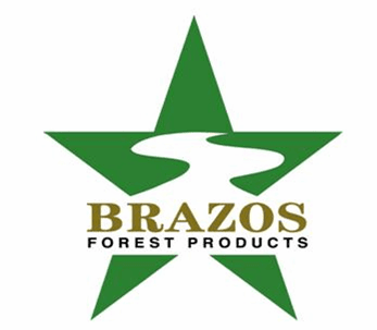 Brazos FP Logo