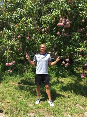 Truly Fantastic! Sam on his birthday.  Mangos are his favorite fruit! We toured the grove with Har Mahdeem.  Great!