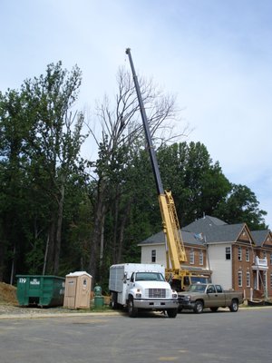 DEW Lawn & Tree Service