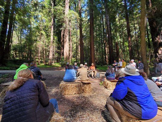 David Aurora Mushroom Hunting Stories