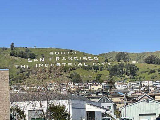 Greener than I've ever seen San Bruno Mountain!!  Wild flowers blooming now!