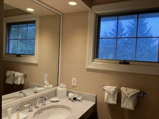 Bathroom window with mirror