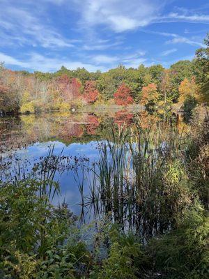 Frenchtown Park Trail