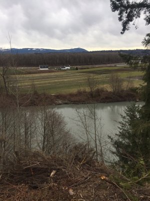 This is at the edge of the property where it over looks the river. It wasn't very sunny that day.