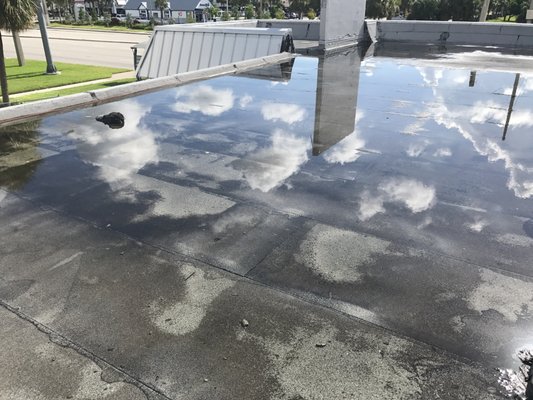 Water pooling on my "new roof".  Shows improper pitch. The guy even leaves the tar mop on the roof  (left corner of the photo)