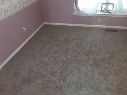 New carpet that I put in