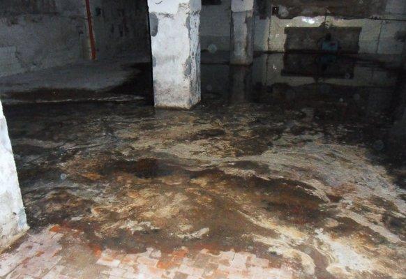 Does your basement look like this? APS can help!