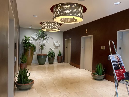 Lobby leading to elevators