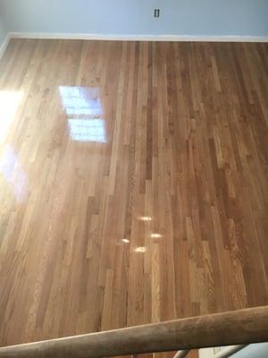 Do's Hardwood Floors