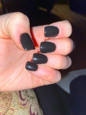 Black SNS Manicure: $35