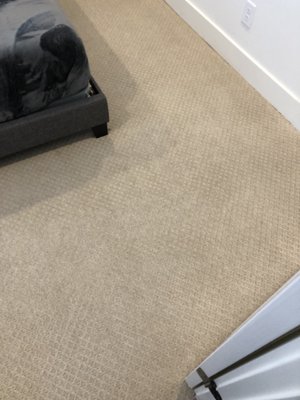 Carpet Magic