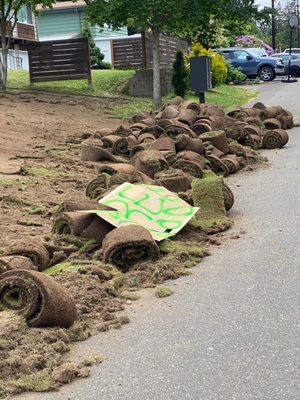 Trying to pawn off sod rolls to poor innocent neighbors