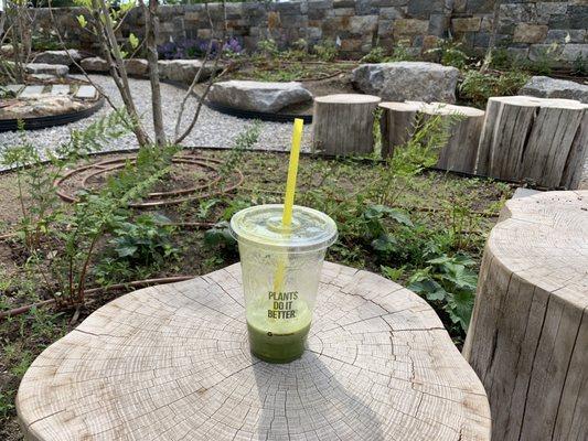 A Green Guru smoothie from Green & Tonic hanging out in the library's little garden.