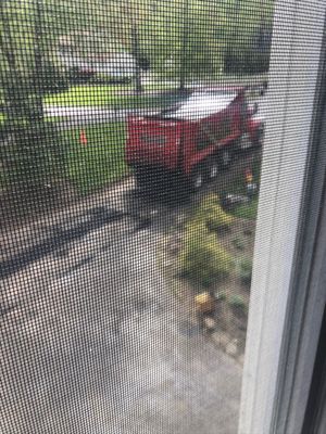 Pouring new driveway