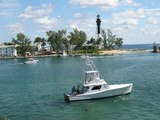 Bolo in the Hillsboro Inlet