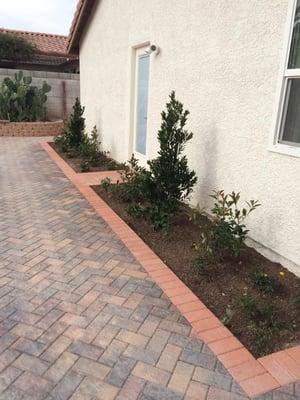 Pavers patio with plant installation