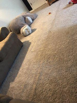 Super Carpets