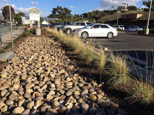 Bioswale Permanent BMP in Bonita