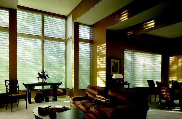 Silhouette® Window Shadings