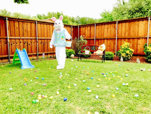 Easter bunny visited us for egg hunting