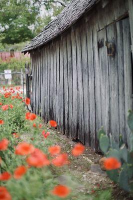 #castrovillepoppyhouse So many backdrop options