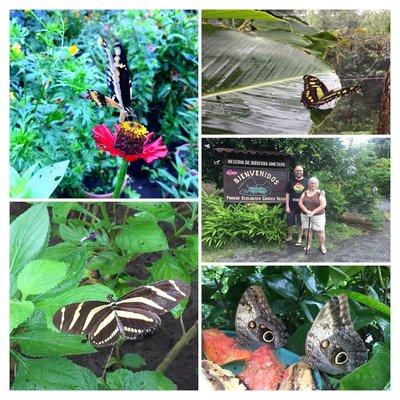 Butterfly Farm on Ometepe