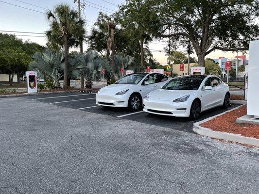 Tesla Supercharger - West Swann Avenue