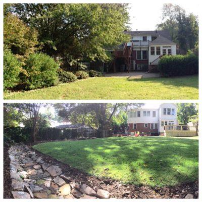 View from the way back of the yard. Top-before. Bottom-after.