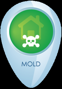 Mold removal, cleanup and remediation