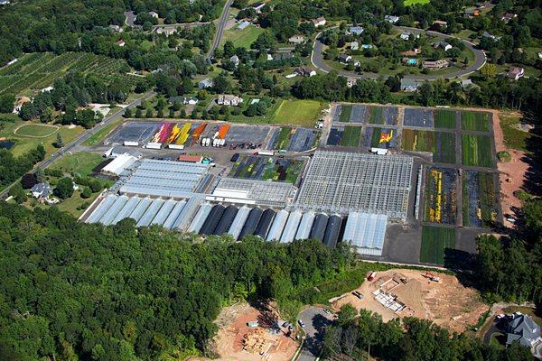 Michael's Greenhouses